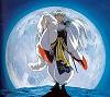 Lord Sesshomaru ss5