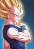 Vegeta_the_best