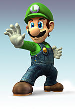 Mr.Luigi