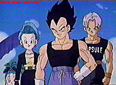 Vegeta-Bulma 4 ever