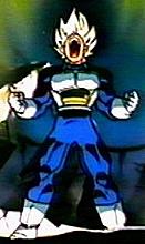 PRINCIPE VEGETA