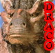 Draco