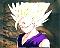 Majin GohanSS5