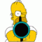 homer